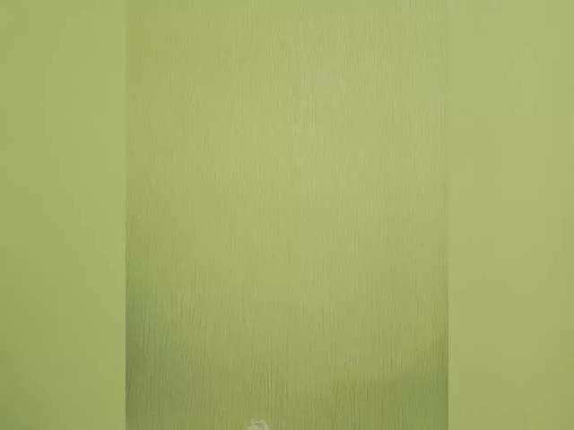 Elia-Elia on BongaCams 