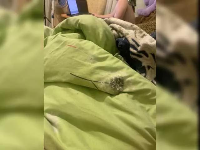 JassicaMar on BongaCams 