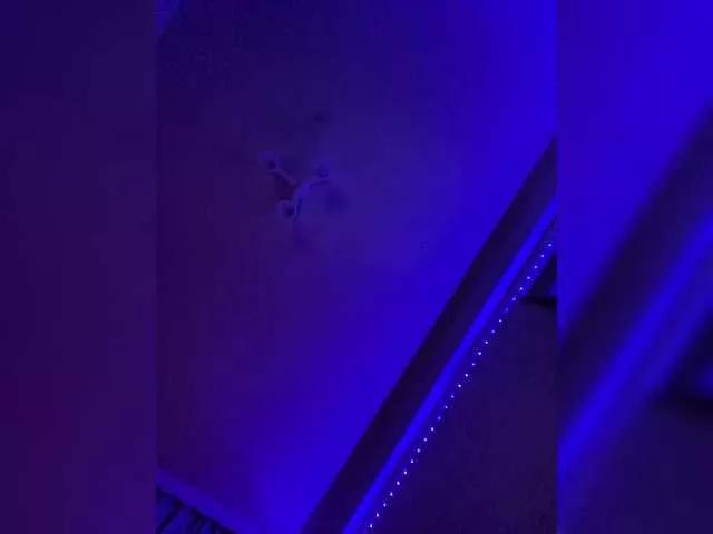 Nestyzz