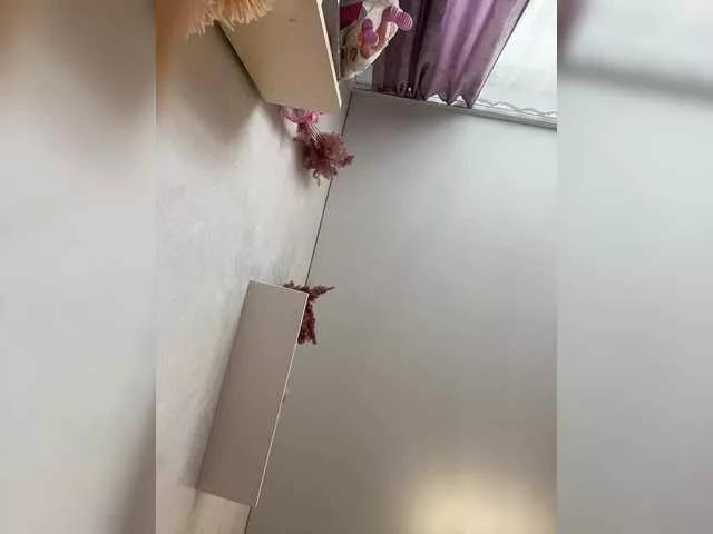 RadaRay55