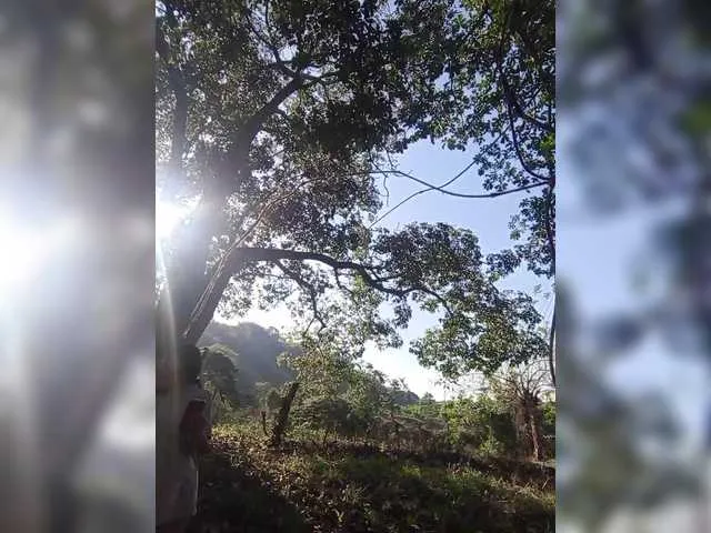 ROOMEXOTIC11 on BongaCams