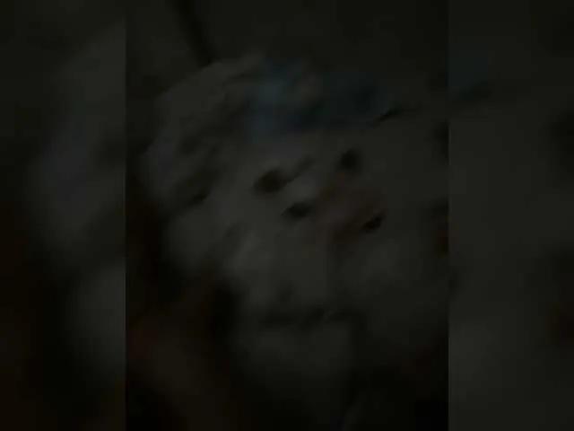 SosiscArca on BongaCams 