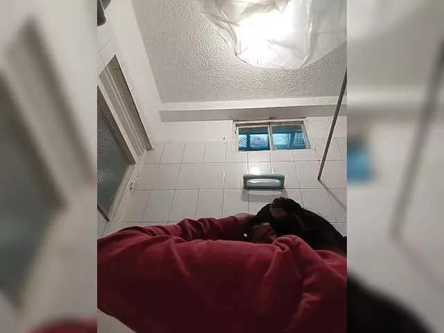 theplayful