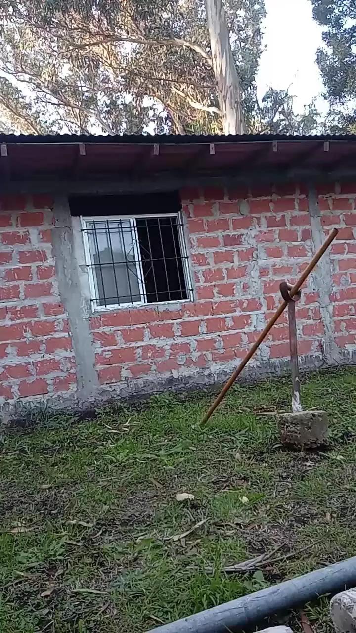 Juanpolla27