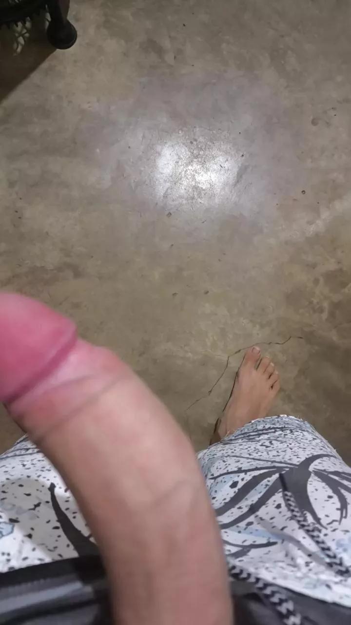 NovinPauzudoo