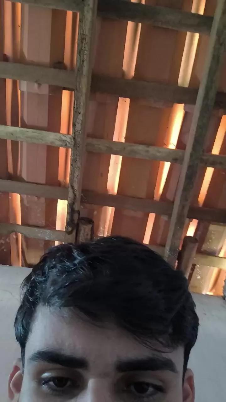 NovinPauzudoo