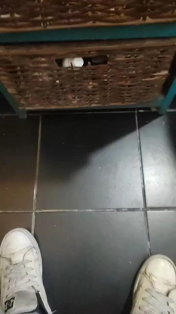 SexZN_35