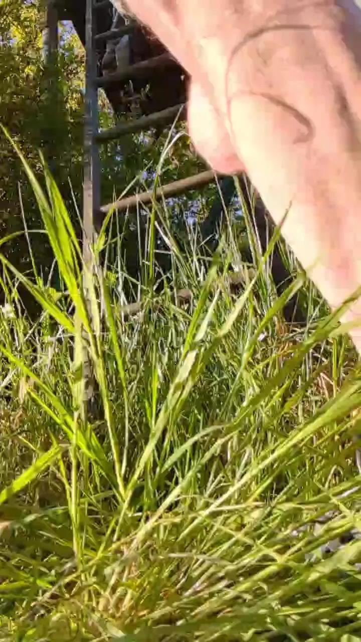 slavecam4 on Cam4 