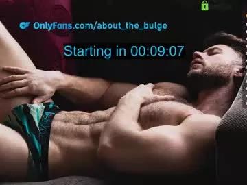 about_the_bulge