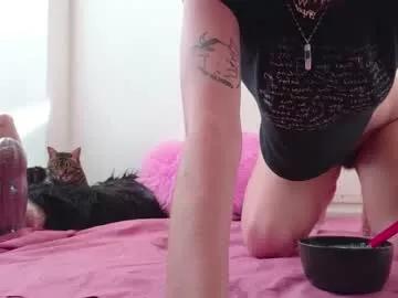 pipaypipo on Chaturbate 