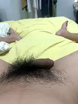 dahai147258 — Freechat on StripChat